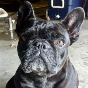 Meet your Posher, Suzanne